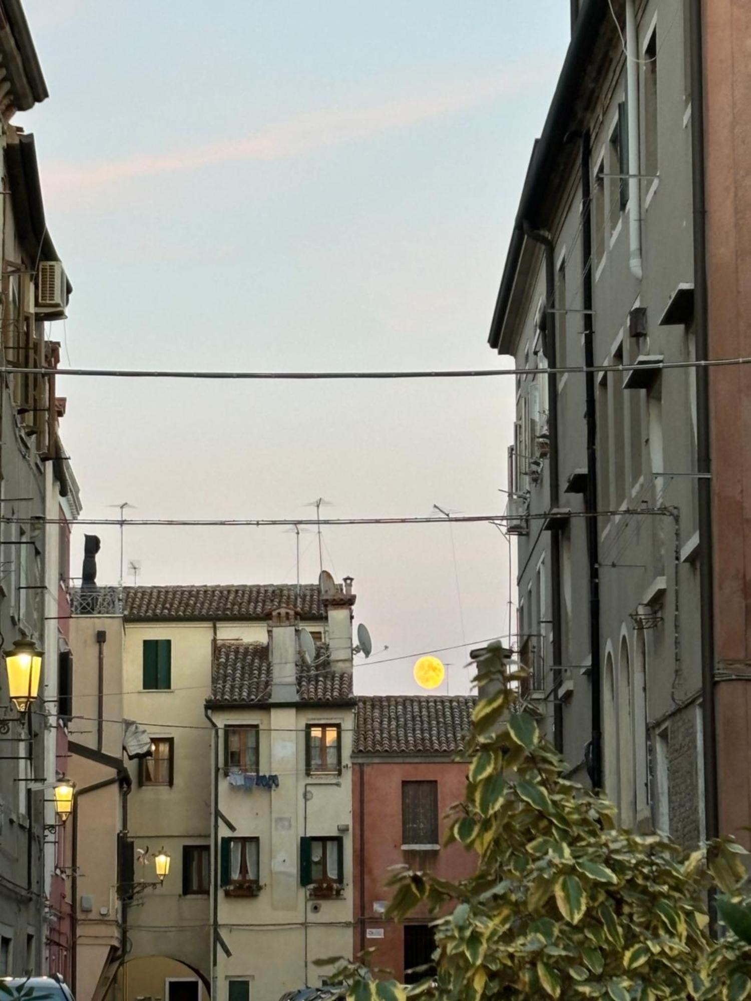 Ca' Donin - Centro Storico Lejlighed Chioggia Eksteriør billede
